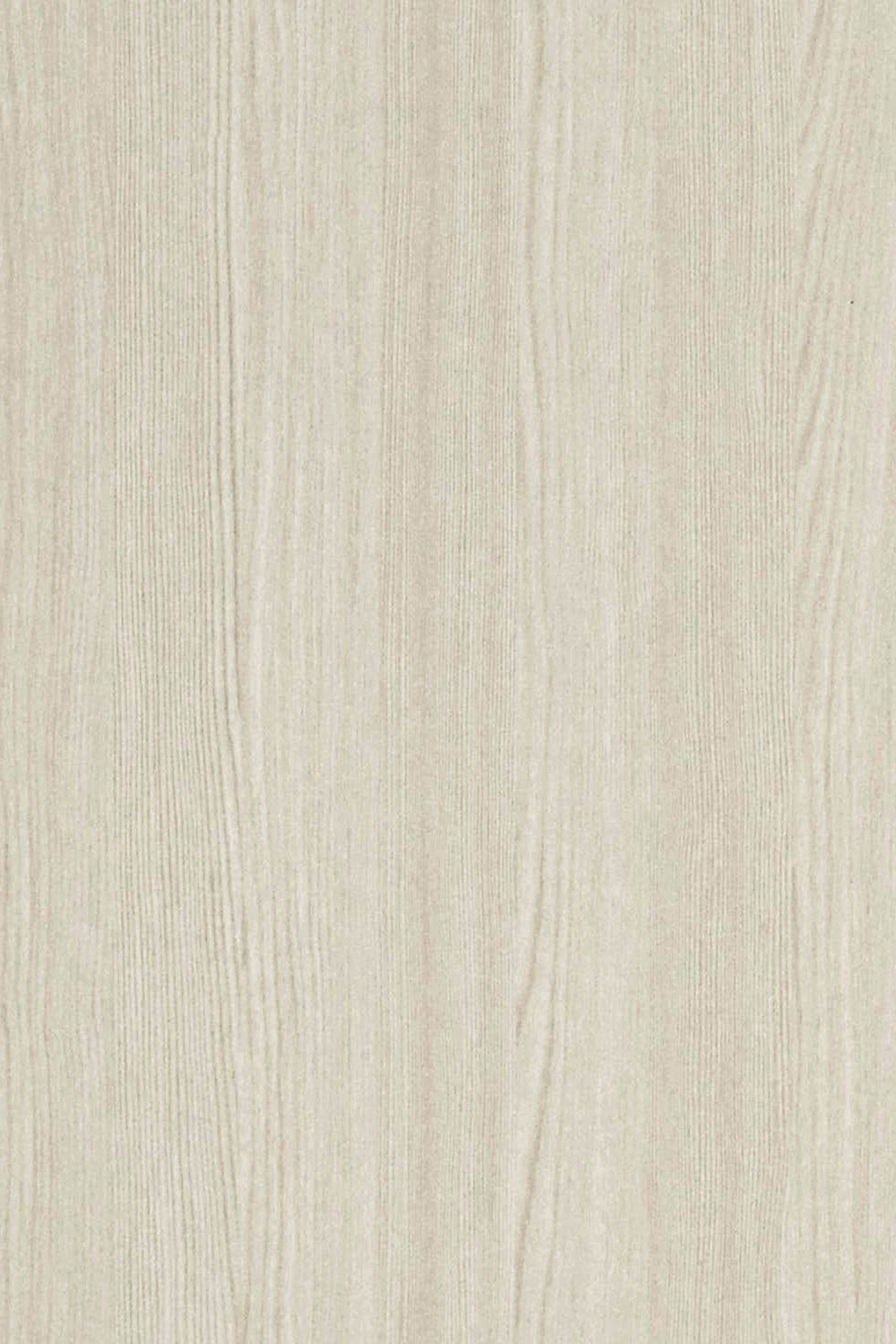 G454 / White Pine - Toppal